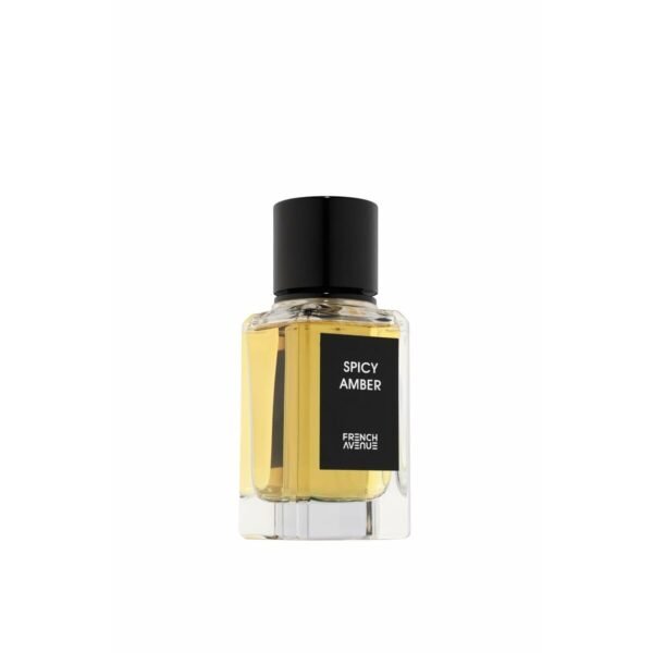 Fragrance World Spicy Amber EDP M 100ml Boxed