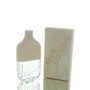 French Connection Fcuk Friction W 100ml Spray Boxed