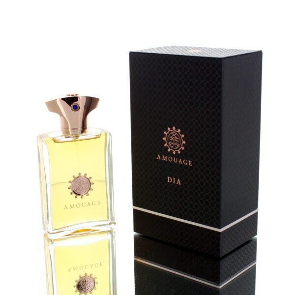 AMOUAGE DIA EDP Man 100ml Boxed
