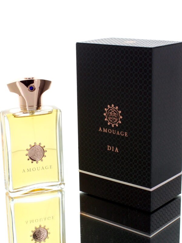 AMOUAGE DIA EDP Man 100ml Boxed