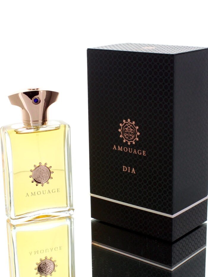 AMOUAGE DIA EDP Man 100ml Boxed