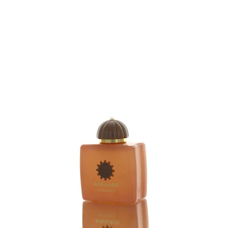 Amouage Guidance Edp W 100Ml Boxed