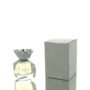 Fragrance World Strings Pour Homme EDP M 100ml Boxed | Fragrance World Strings Pour Homme EDP M 100ml Boxed