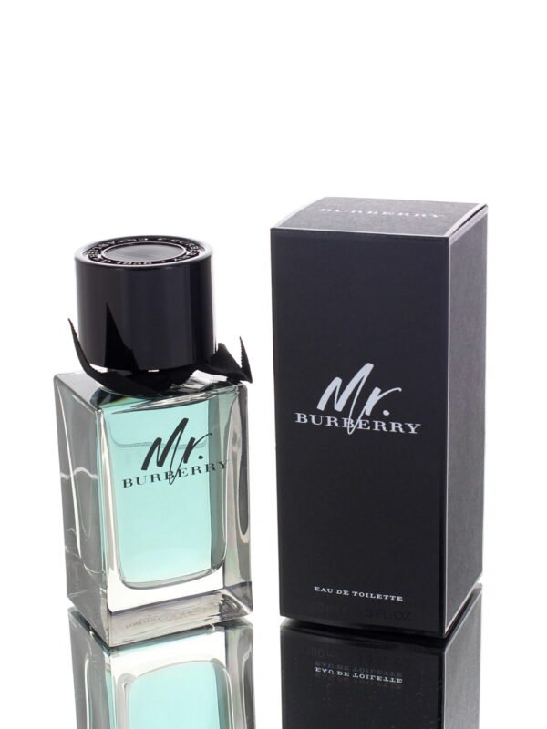 Burberry Mr. Burberry EDT 100ml Men Canada