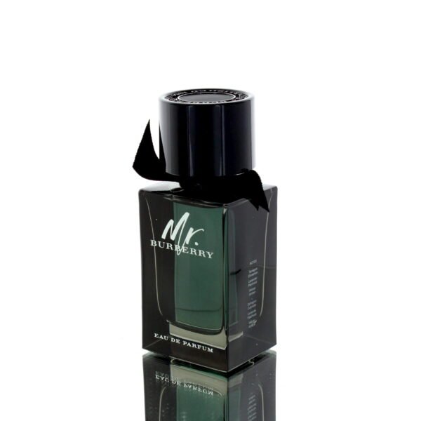 Burberry Mr. Burberry EDP 100ml Men Canada