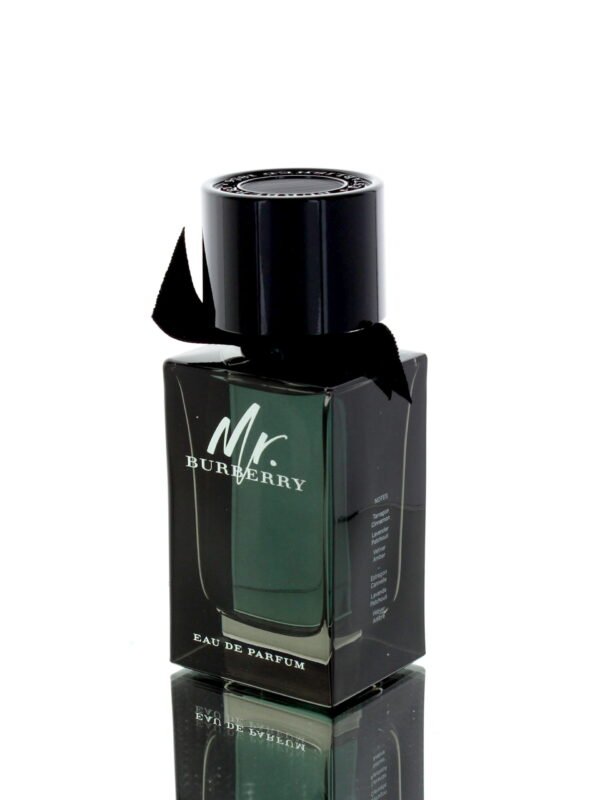 Burberry Mr. Burberry EDP 100ml Men Canada