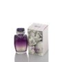 Paris Hilton Tease W 100Ml Boxed