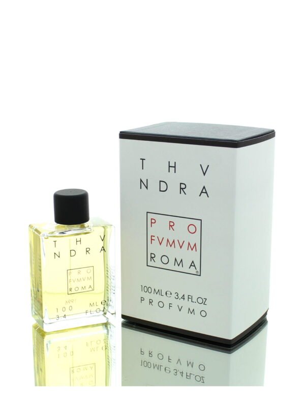 Profumum Roma Thundra EDP M 100ml Boxed