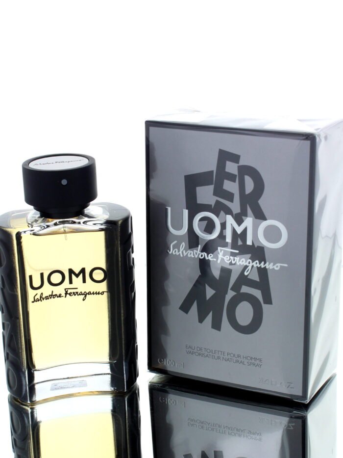 Salvatore Ferragamo UOMO M 100ml Boxed