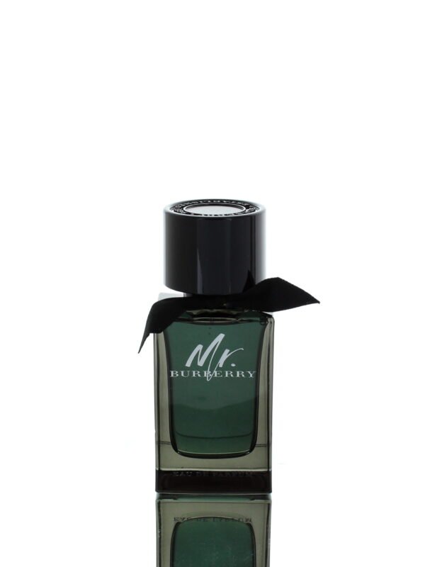 Burberry Mr. Burberry EDP 50ml Men Canada