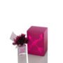Vera Wang Lovestruck W 100Ml Boxed