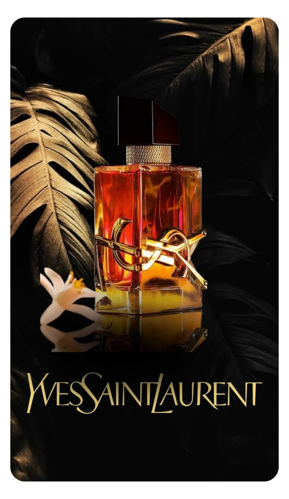 Yves Saint Laurent