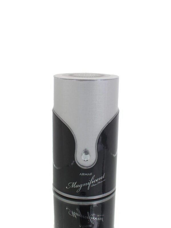 Armaf Magnificent M 100ml Boxed