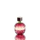Tester – Jimmy Choo Fever Edp W 100ml Tester