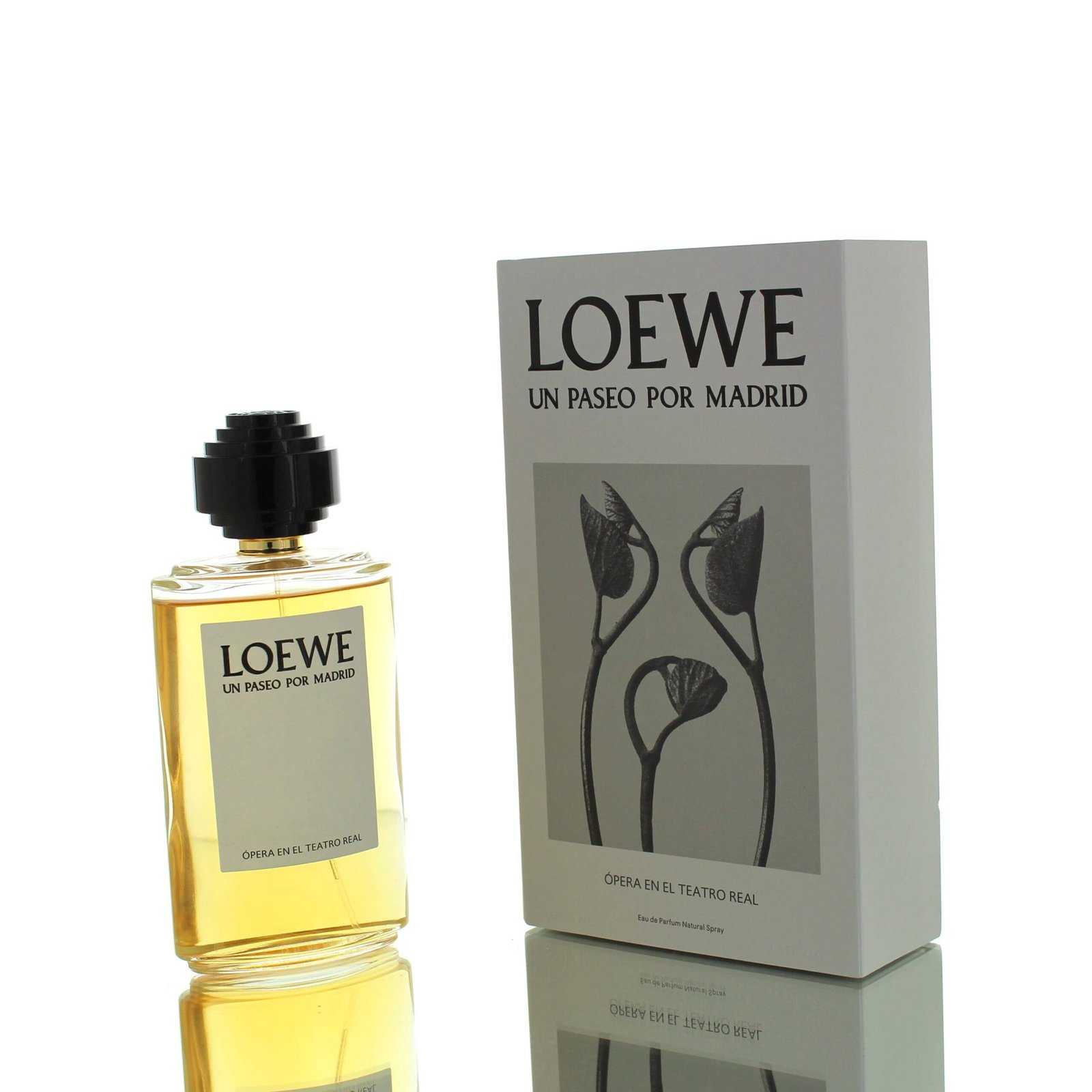 Loewe Un Paseo Por Madrid Opera En El Teatro Real EDP M 100ml Boxed